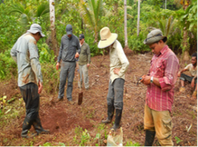 Cui Jiangtao led the team to explore the rennell Island bauxite mine project 